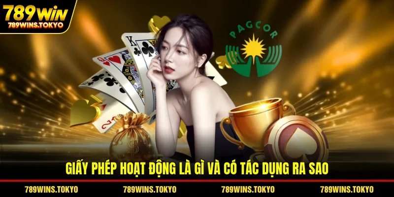 Giấy phép hoạt động là gì và có tác dụng ra sao