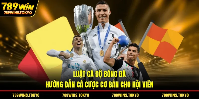 Luật Cá Độ Bóng Đá - Hướng Dẫn Cá Cược Cơ Bản Cho Hội Viên