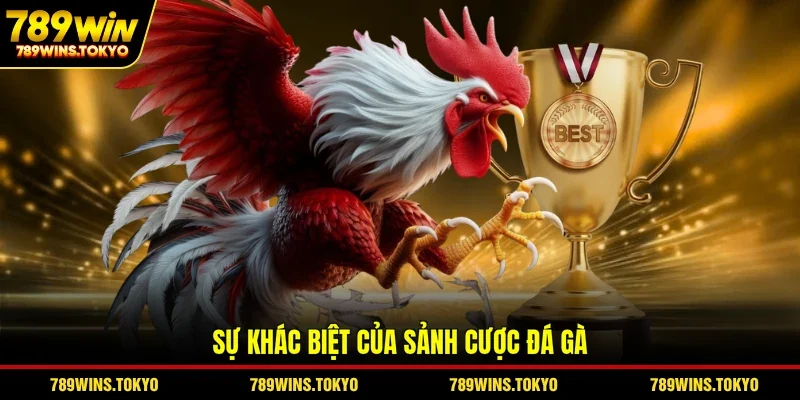 Sự khác biệt của sảnh cược đá gà